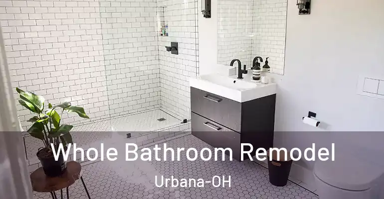 inner Bathroom imggen Whole Bathroom Remodel Urbana-OH