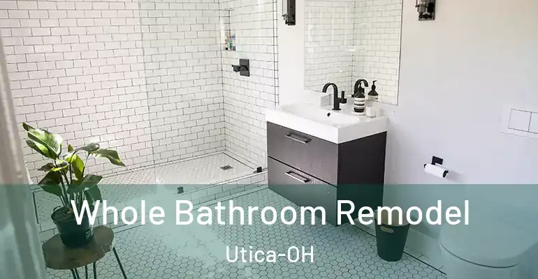 inner Bathroom imggen Whole Bathroom Remodel Utica-OH