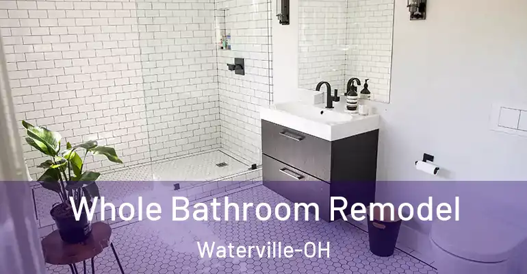 inner Bathroom imggen Whole Bathroom Remodel Waterville-OH