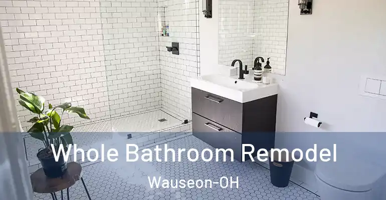 inner Bathroom imggen Whole Bathroom Remodel Wauseon-OH