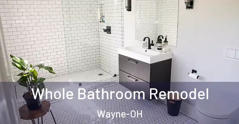 inner Bathroom imggen Whole Bathroom Remodel Wayne-OH