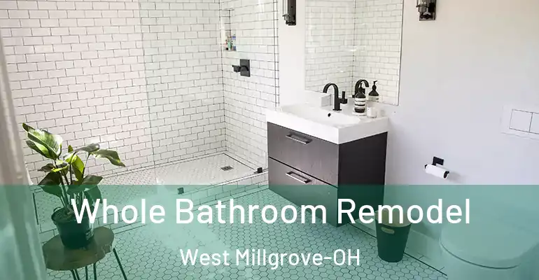 inner Bathroom imggen Whole Bathroom Remodel West Millgrove-OH